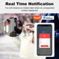 Real Time Wireless Magnetic Alarms
